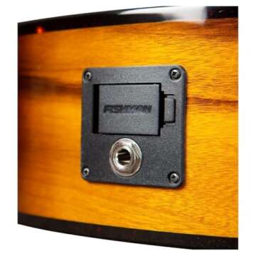 Breedlove Pursuit Exotic S Concertina Guitar for All Players