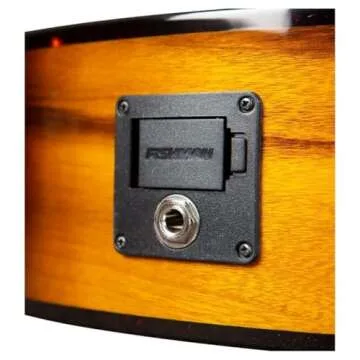 Breedlove Pursuit Exotic S Concertina Guitar for All Players