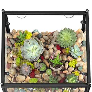 D'Eco Square Terrarium Display End Table w Reinforced Glass in Black Iron - (Dims: 18 x 18 x 27") - Indoor Decor for Any Home or Office - DIY Garden for Succulents, Moss, Fern - Gift for Plant Lovers