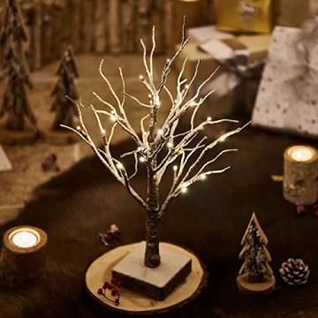 Hairui Lighted Tabletop Tree with Timer and 24 LEDs