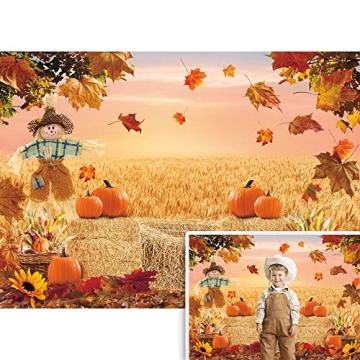 Autumn Photography Background Thanksgiving Harvest Barn Party Backdrop Pumpkin Maple Leaf Hay Wooden...