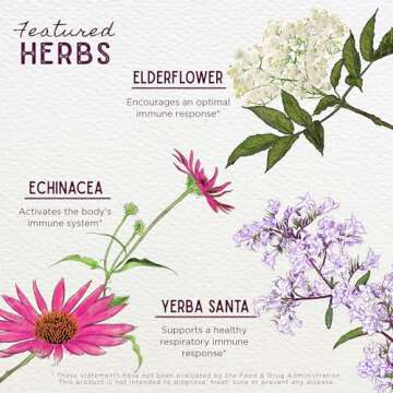 WishGarden Herbs Kick-Ass Immune Activator - Herbal Immune Support Supplement for Adults, Plant-Based Immune Booster & Immune Defense w/Echinacea & Goldenseal, Rapid Immunity Boost Formula, 4oz