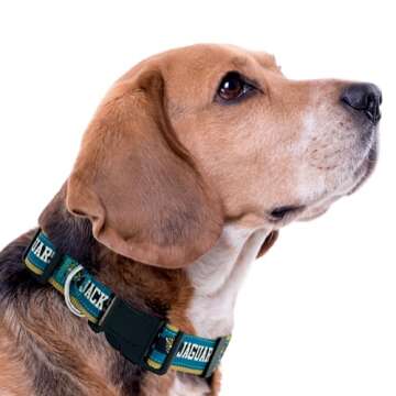 Pets First NFL Jacksonville Jaguars Licensed PET COLLAR, Large - Heavy-Duty, Strong, and Durable Dog Collar. Available in 31 Football Teams and 4 Sizes