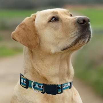 Pets First NFL Jacksonville Jaguars Licensed PET COLLAR, Large - Heavy-Duty, Strong, and Durable Dog Collar. Available in 31 Football Teams and 4 Sizes