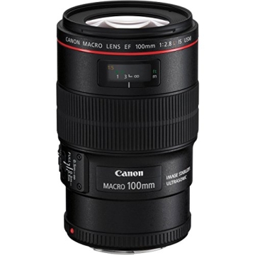 Canon EF 100mm f/2.8L IS USM Macro Lens – The Ultimate Choice for Impeccable Detail