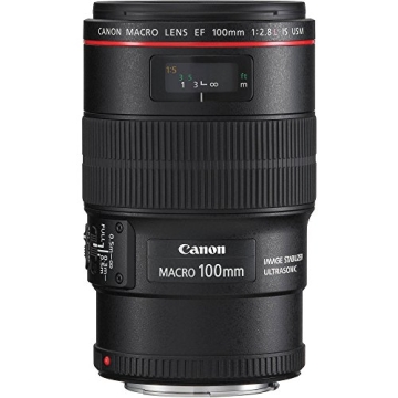 Discover the Canon EF 100mm f/2.8L IS USM Macro Lens