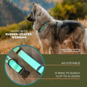 Wilderdog Waterproof Dog Collar for Outdoor Adventures
