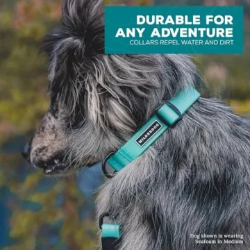 Wilderdog Waterproof Dog Collar for Outdoor Adventures