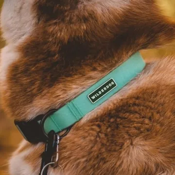 Wilderdog Waterproof Dog Collar for Outdoor Adventures