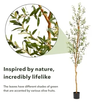 82” Olive Artificial Silk Tree by Nearly Natural - Realistic Decor