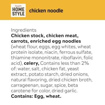 Campbell's Homestyle Chicken Noodle Soup, 16.1 OZ Can
