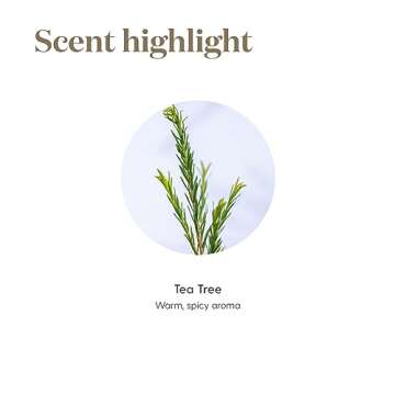 Young Living Tea Tree (Melaleuca Alternifolia) Essential Oil - 5ml Bottle - Clear and Healthy Complexion - Inhale The Refreshing Aroma of Tea Tree Oil to Support Clear Breathing