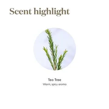 Young Living Tea Tree (Melaleuca Alternifolia) Essential Oil - 5ml Bottle - Clear and Healthy Complexion - Inhale The Refreshing Aroma of Tea Tree Oil to Support Clear Breathing