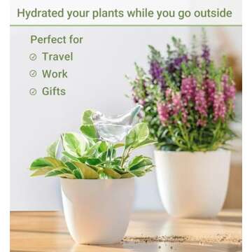 Mkono Plant Self Watering Globes Glass Water Bulbs for Planter Insert, Bird Shape Self Watering Devi...