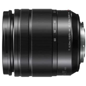PANASONIC LUMIX G VARIO LENS, 12-60MM, F3.5-5.6 ASPH., MIRRORLESS MICRO FOUR THIRDS, POWER OPTICAL I.S., H-FS12060 (USA BLACK)
