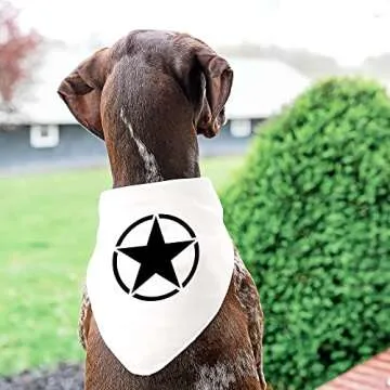 Durable Military Star Stencil for DIY Art Projects