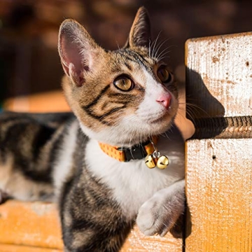 Bulk Jingle Bells - 300 Pieces for Christmas Crafts