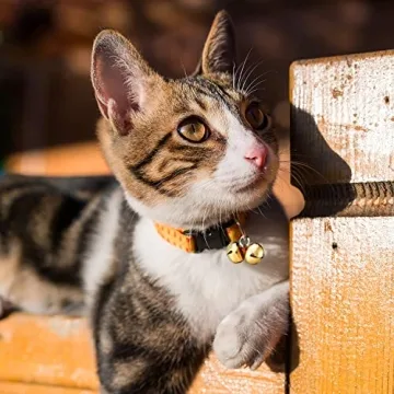 Bulk Jingle Bells - 300 Pieces for Christmas Crafts