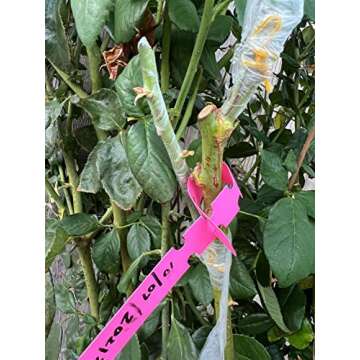 HAINANSTRY Grafting Tape 2 PCS, Stretchable Garden Grafting Tape Plants Repair Tapes for Floral Fruit Tree and Poly Budding Tape - Green & White