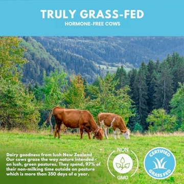 Opportuniteas Grass Fed Vanilla Protein Powder - Natural Nutrition