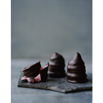 Discover Nordic Cuisine with Noma Cookbook