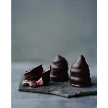 Discover Nordic Cuisine with Noma Cookbook