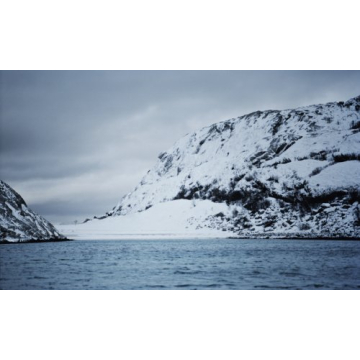 Discover Nordic Cuisine with Noma Cookbook