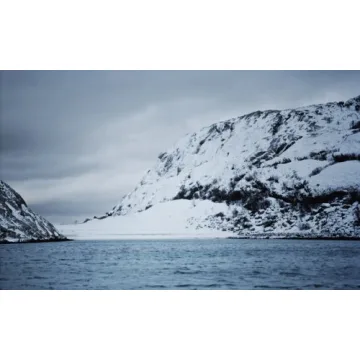 Discover Nordic Cuisine with Noma Cookbook