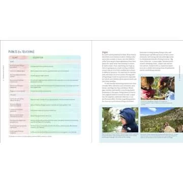 Nature Play at Home: Creating Outdoor Spaces that Connect Children with the Natural World