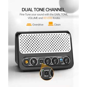 Mini Guitar Amp,LEKATO 10W Portable Electric Guitar Amplifier with Clean & Overdrive Channel,Reverb,...