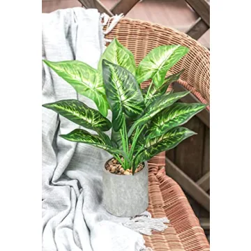 Der Rose 2 Pack Artificial Potted Plants for Home Decor