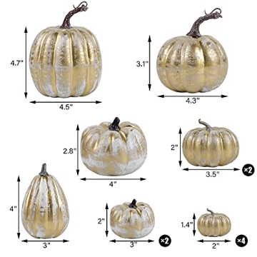 Beautiful Assorted Sizes Golden Pumpkins for Fall Decor