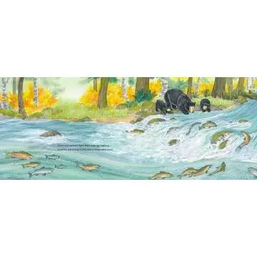 When Fall Comes: Connecting with Nature as the Days Grow Shorter