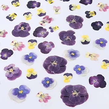 48 Pcs Mix Natural Dried Pressed Flowers for Cake Decorating, Real Dry Flower for Resin Jewelry Maki...