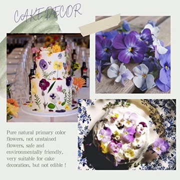 Dried Pressed Flowers for Cake Decoration & Crafts