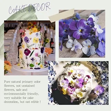 Dried Pressed Flowers for Cake Decoration & Crafts