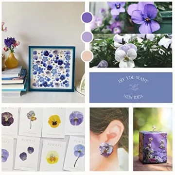 Dried Pressed Flowers for Cake Decoration & Crafts