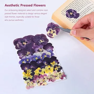 Dried Pressed Flowers for Cake Decoration & Crafts