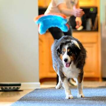 Chuckit! Indoor Fetch Squirrel Toy for Dogs