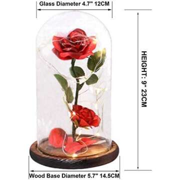Valentines Day Flowers Roses Gifts for Her,Anniversary Thanksging Birthday Valentines Day Roses Gifts for Her Wife Mom Girlfrien,Beauty and The Beast Rose Red Silk Rose Flower in Glass Dome