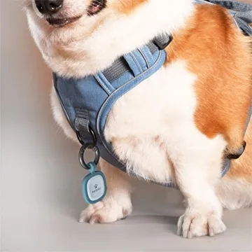 Pawaii Silent Silicone Dog ID Tag with QR Code Alerts