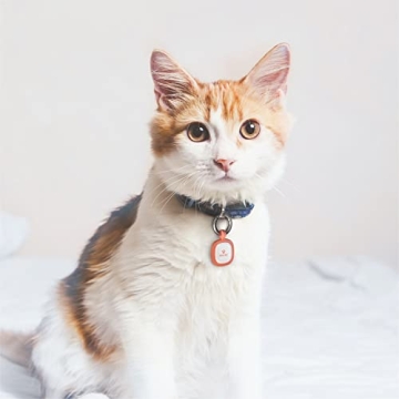 Pawaii Silent Silicone Dog ID Tag with QR Code Alerts