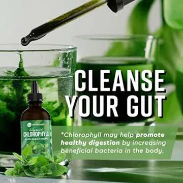 360 Nutrition Chlorophyll Drops with Peppermint Oil for Gut Health