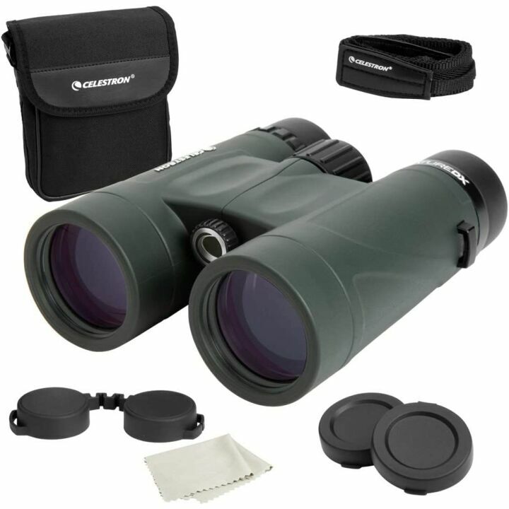 Celestron Nature DX 8x42 Binoculars for Birding