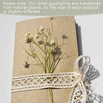 Fumete 200 Pcs Mini Dried Baby Breath Flowers Valentine's Day Ivory Natural Flowers Bulk Dried Gypsophila for Vase Wedding Invitation Card DIY Candle Making Decor Craft Party Resin Art 2-4 in