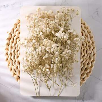 Fumete 200 Pcs Mini Dried Baby Breath Flowers Valentine's Day Ivory Natural Flowers Bulk Dried Gypsophila for Vase Wedding Invitation Card DIY Candle Making Decor Craft Party Resin Art 2-4 in