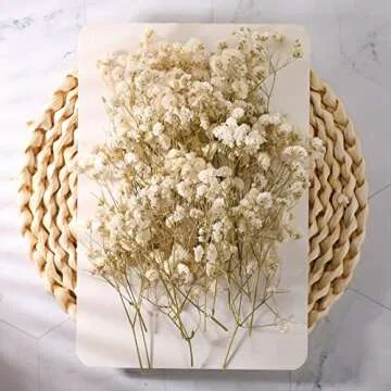 Fumete 200 Pcs Mini Dried Baby Breath Flowers Valentine's Day Ivory Natural Flowers Bulk Dried Gypsophila for Vase Wedding Invitation Card DIY Candle Making Decor Craft Party Resin Art 2-4 in