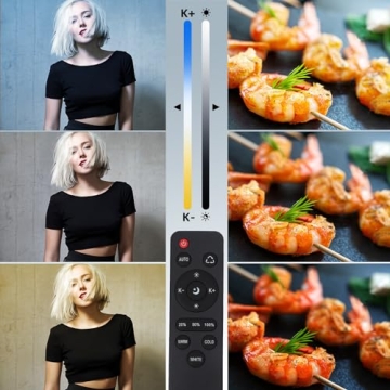 Skytex Softbox Lighting Kit for Photography and Video