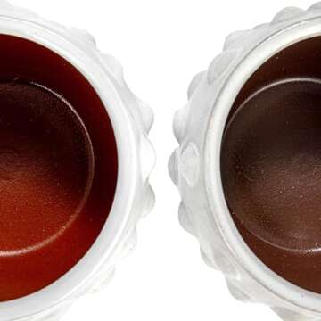 Creative Co-Op White Terracotta Bubbled Design Planter Pot White 6.25 x 4.75