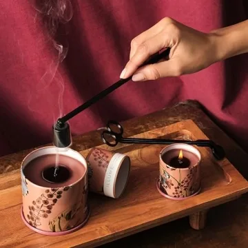 Illume Terra Tabac Scented Candle for Home Relaxation